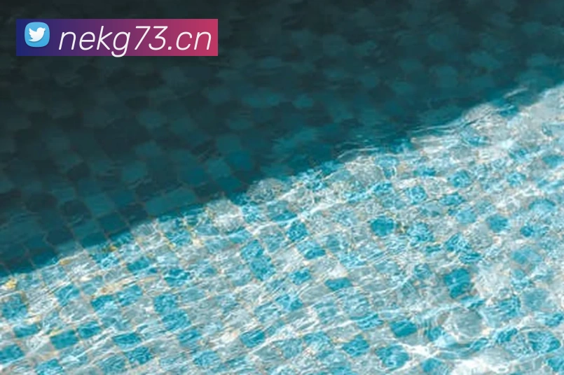 多媒体互动体验